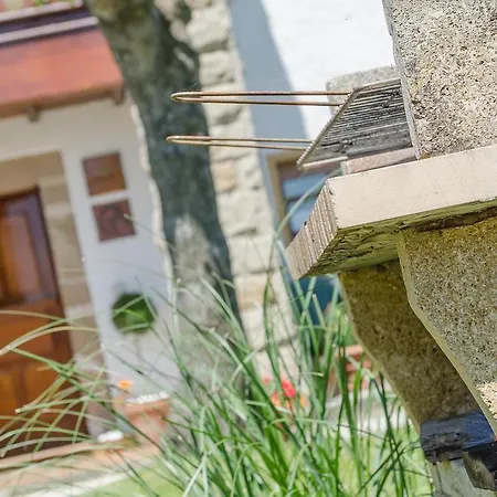 Летний дом Casa Rosaura